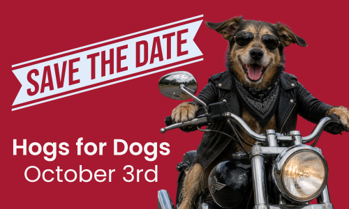 Hogs for Dogs